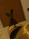 Foto privada de roxy94